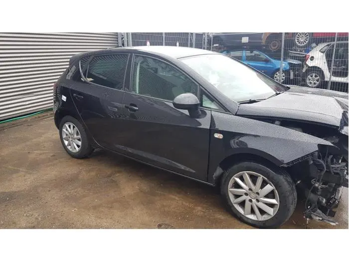 Portierruit 4Deurs rechts-voor Seat Ibiza