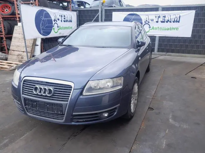 Dakrail set Audi A6