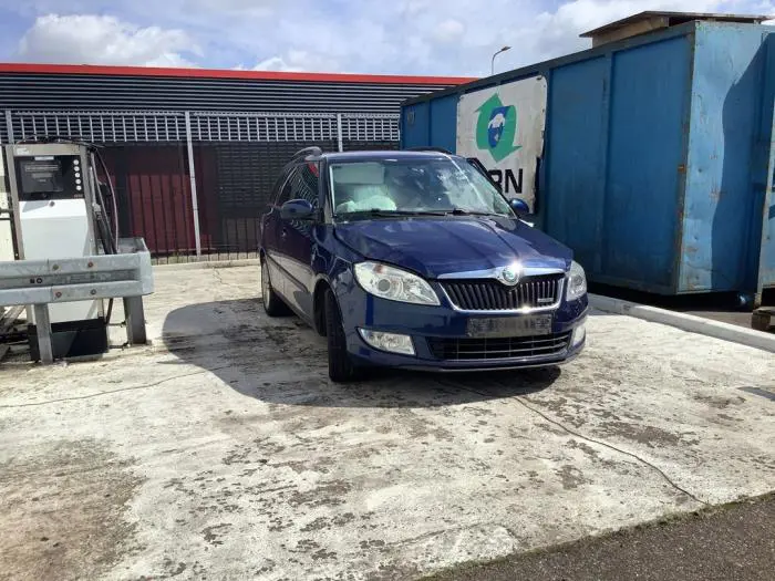 Grill Skoda Fabia