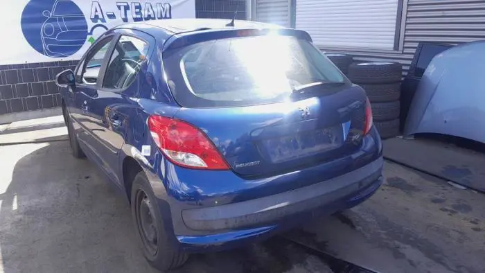 Amortyzator lewy tyl Peugeot 207