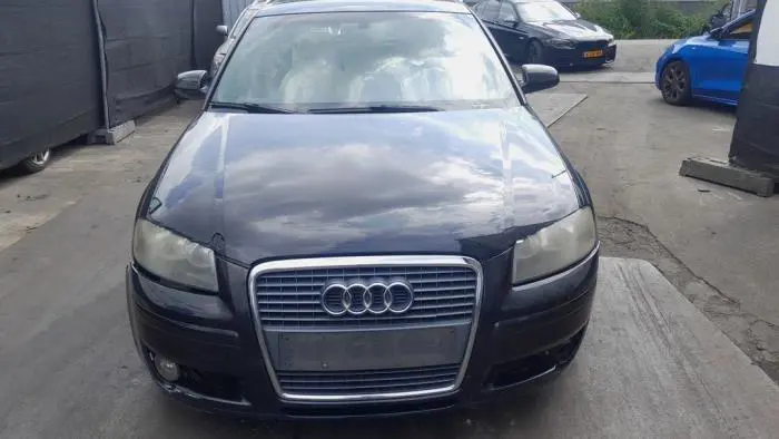 Grill Audi A3