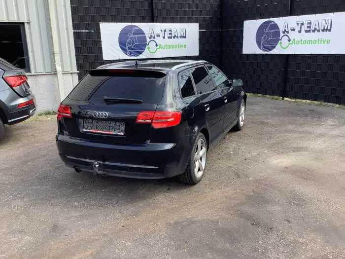 Pas bezpieczenstwa prawy tyl Audi A3