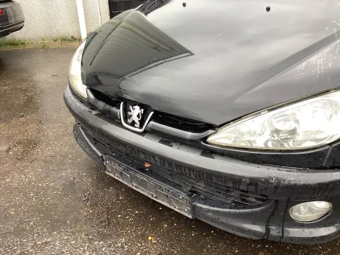 Grill Peugeot 206